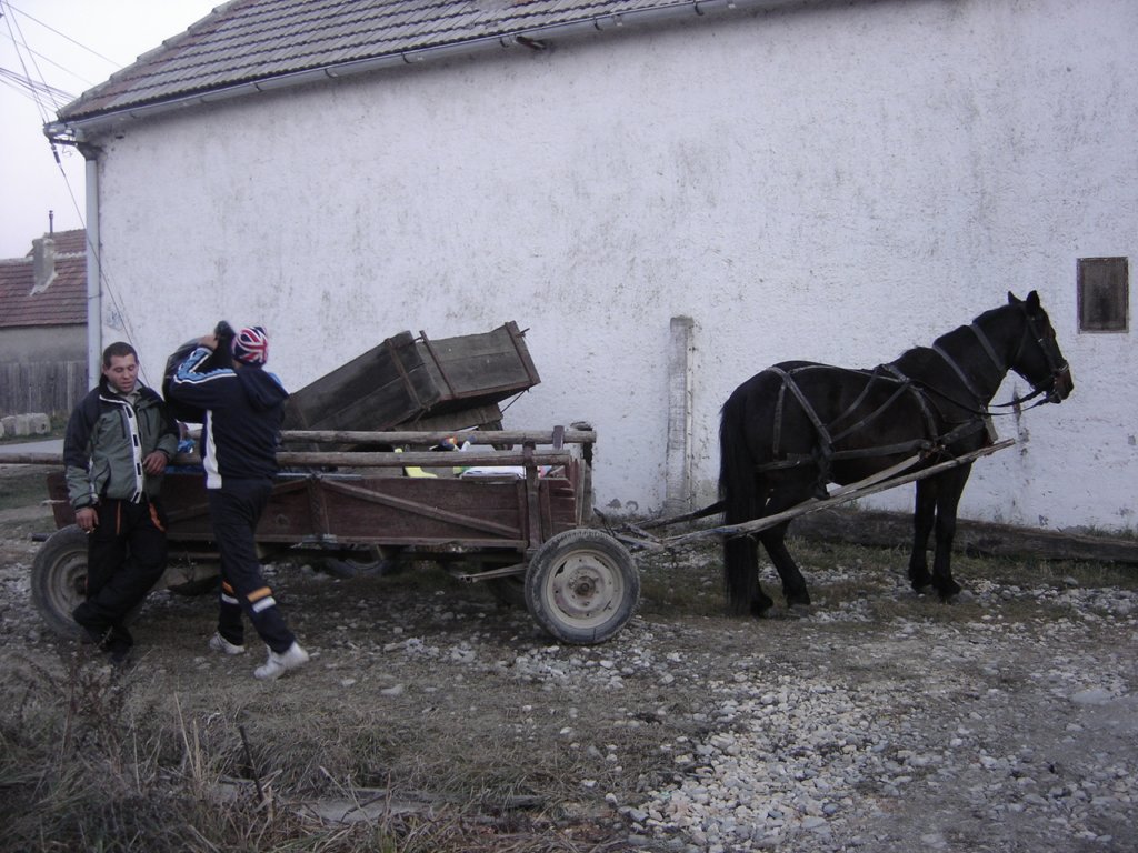 photo45.jpg