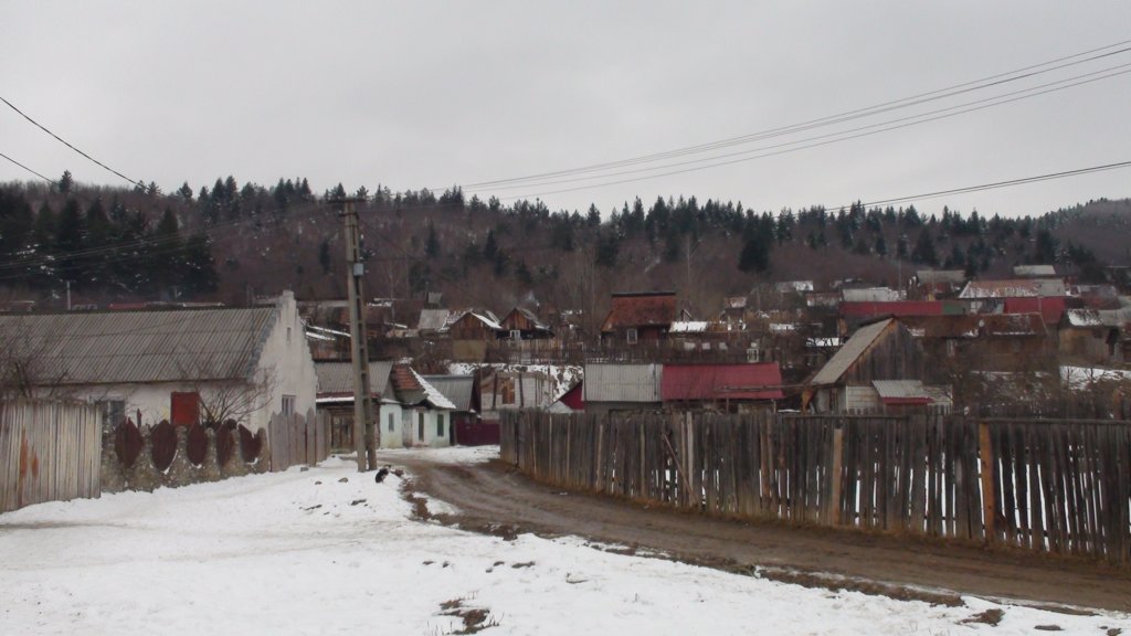 photo46.jpg