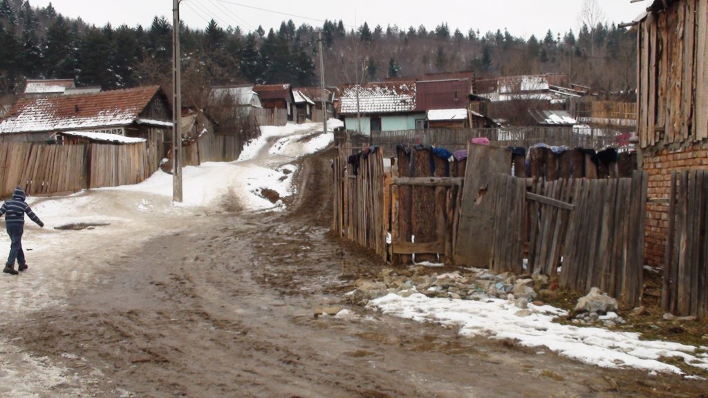 photo49.jpg